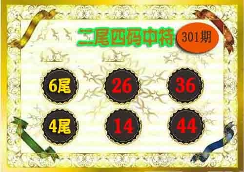 二尾四码