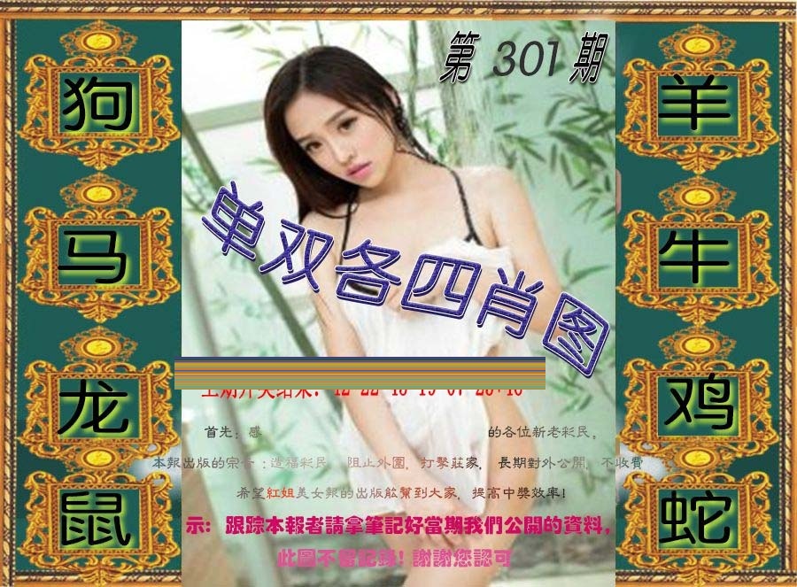 单双各四肖图