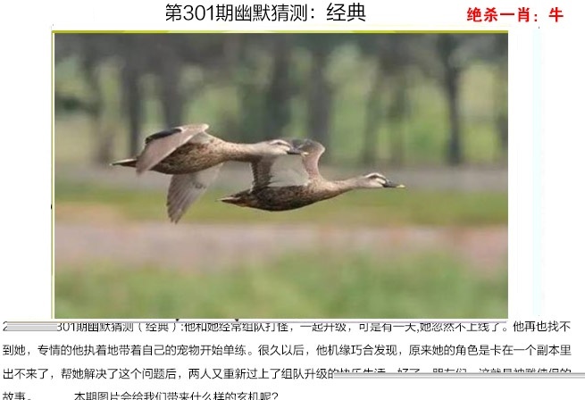 幽默猜测