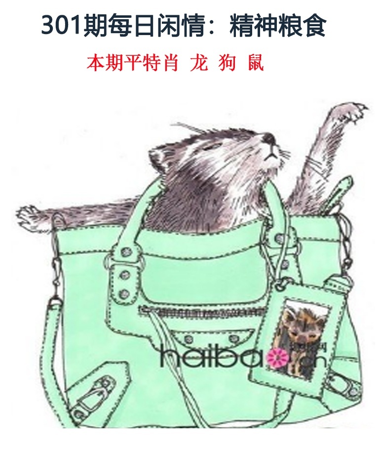 每日闲情