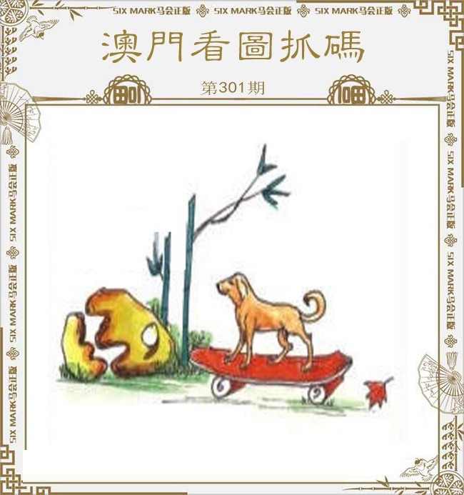 澳门看图抓码