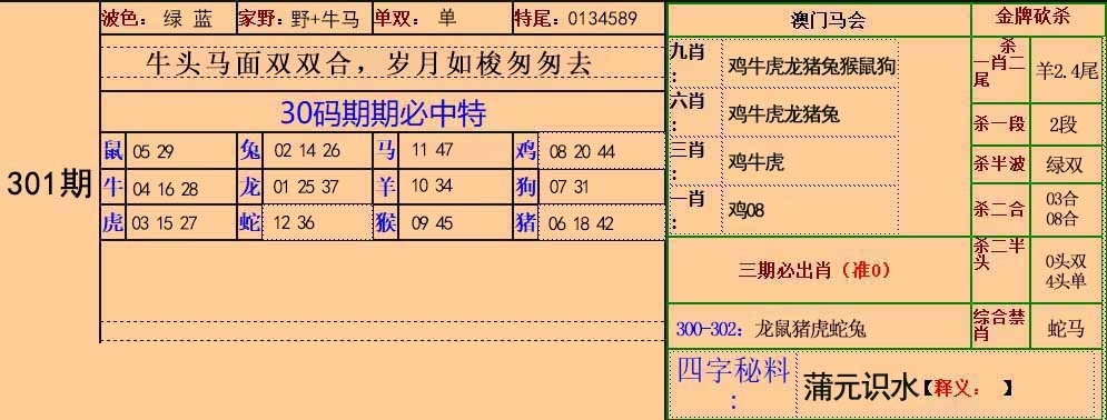 30码中特